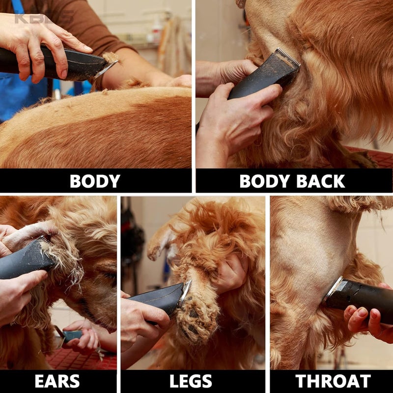 KBDS Detachable Ceramic Pet Clipper Blades,Size-7F,Compatible with Most Andis,Oster,Wahl A5 Clippers,Made of Ceramic Blade Cutter and Carbon Steel Blade,1/8'' Inch 3.2mm Cut Length, 7F Blade - Image 3